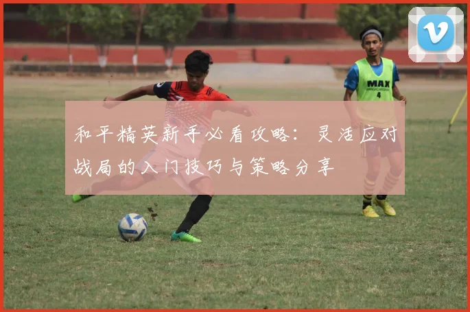 和平精英新手必看攻略：灵活应对战局的入门技巧与策略分享