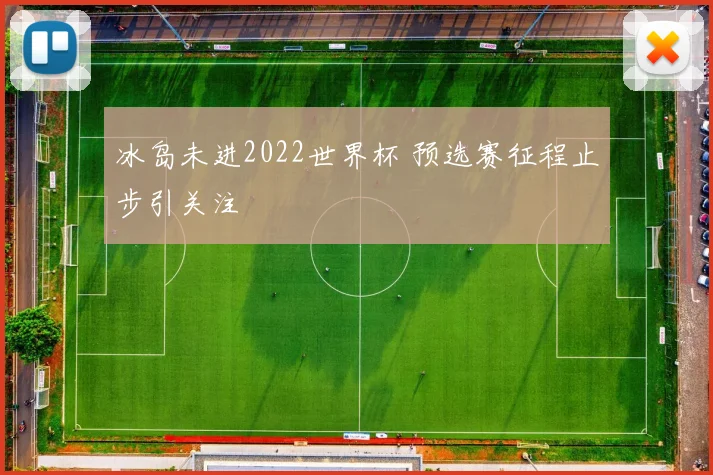 冰岛未进2022世界杯 预选赛征程止步引关注