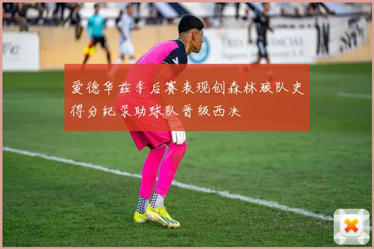 爱德华兹季后赛表现创森林狼队史得分纪录助球队晋级西决